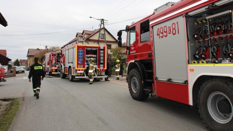 IMG_6367 — kopia.JPG