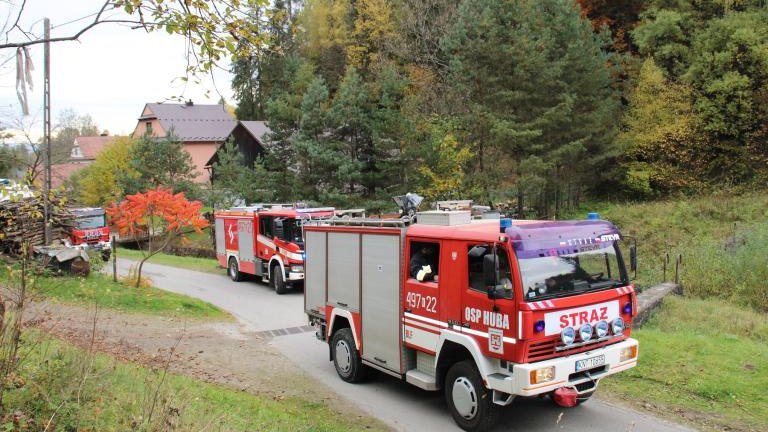 IMG_6385 — kopia.JPG