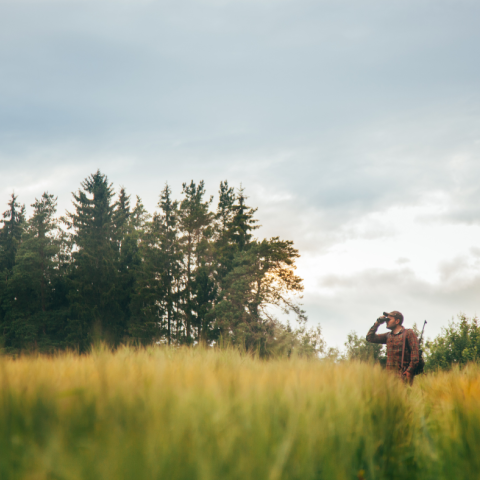 Polowania zbiorowe - obwód łowiecki nr. 224