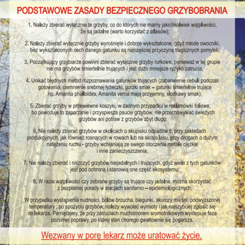 Profilaktyka zatruć grzybami