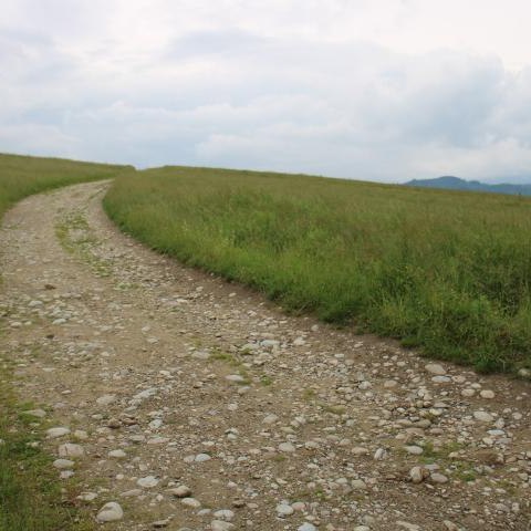 "Modernizacja dróg dojazdowych do gruntów rolnych: droga w miejscowości Kluszkowce o długości 860 mb na działce numer 2657”.