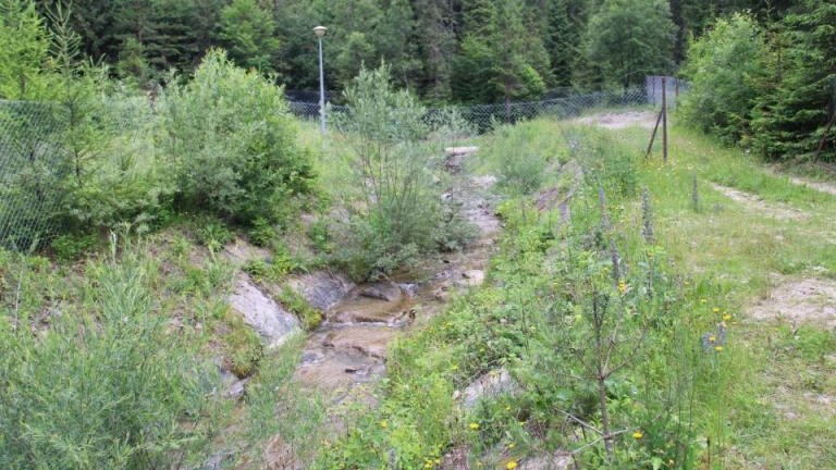 IMG_9875 (Niestandardowy).JPG