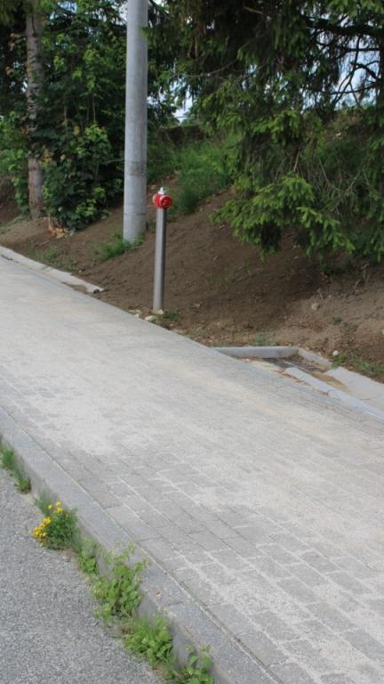 IMG_0099 (Niestandardowy).JPG