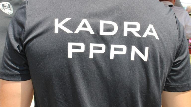 IMG_0511 (Niestandardowy).JPG