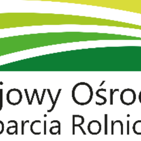 Maturzysto – zdobądź stypendium pomostowe na studia!