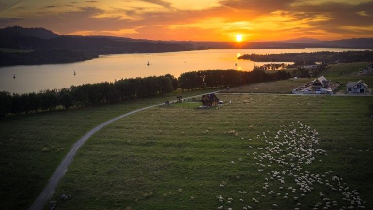 97 (Niestandardowy).jpg