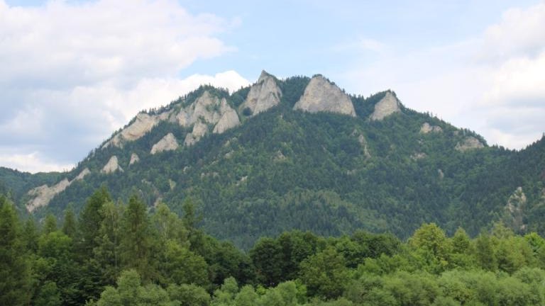 IMG_0048 (Niestandardowy).JPG