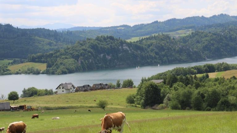 IMG_0125 (Niestandardowy).JPG