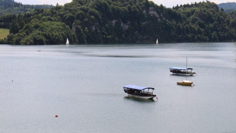 IMG_0136 (Niestandardowy).JPG