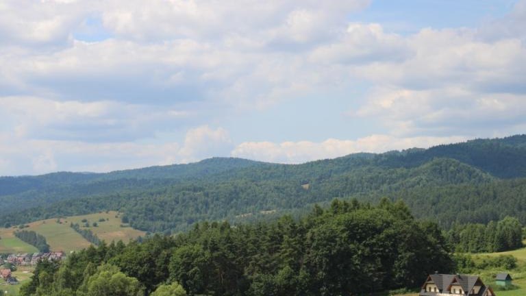 IMG_0148 (Niestandardowy).JPG