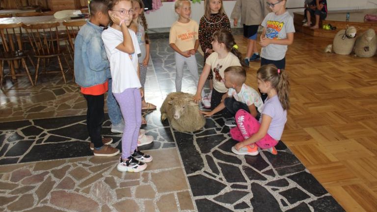 IMG_1796 (Niestandardowy).JPG