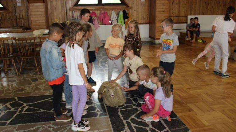 IMG_1797 (Niestandardowy).JPG