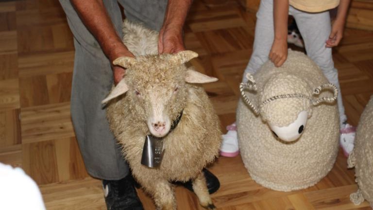 IMG_1801 (Niestandardowy).JPG