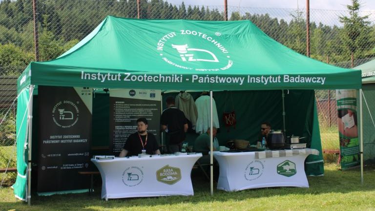 IMG_1896 (Niestandardowy).JPG