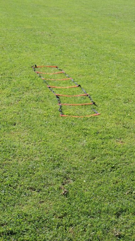 IMG_2442 (Niestandardowy).JPG