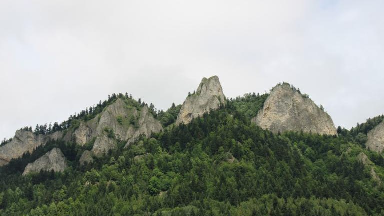 IMG_2722 (Niestandardowy).JPG