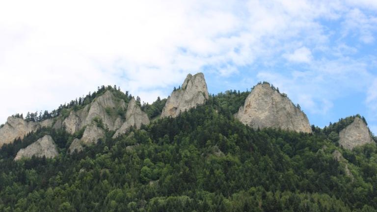 IMG_2794 (Niestandardowy).JPG