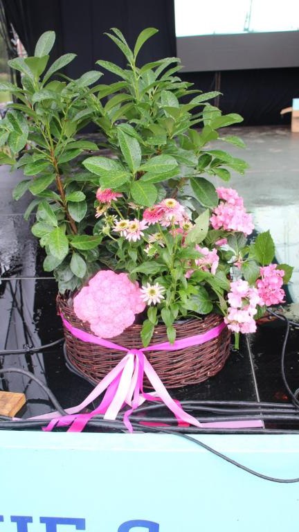 IMG_2921 (Niestandardowy).JPG