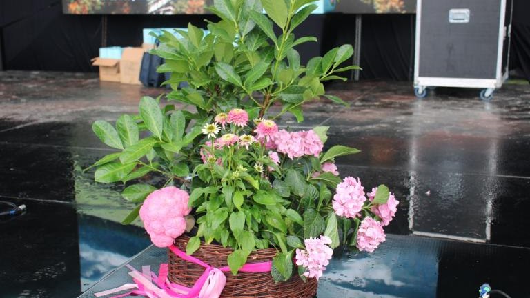 IMG_2922 (Niestandardowy).JPG