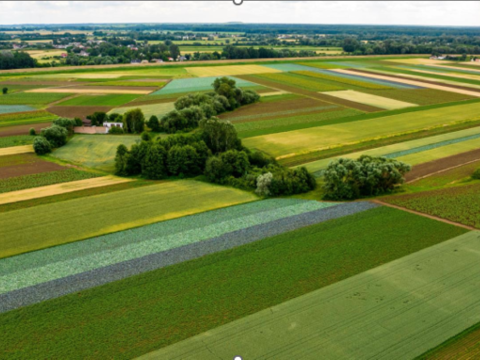 Płatność dla małych gospodarstw