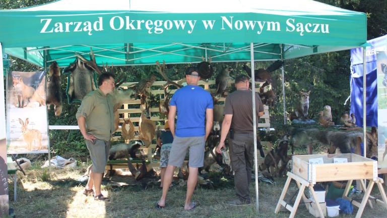 IMG_3085 (Niestandardowy).JPG