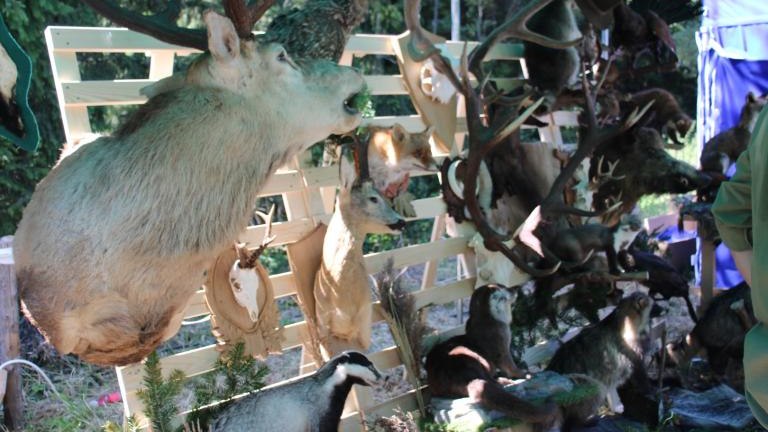 IMG_3087 (Niestandardowy).JPG