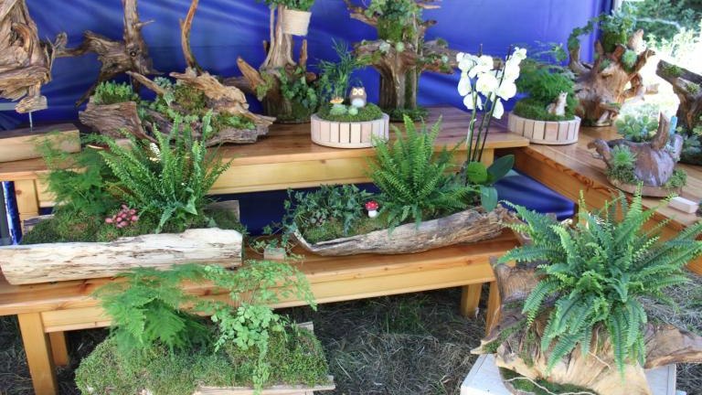 IMG_3088 (Niestandardowy).JPG