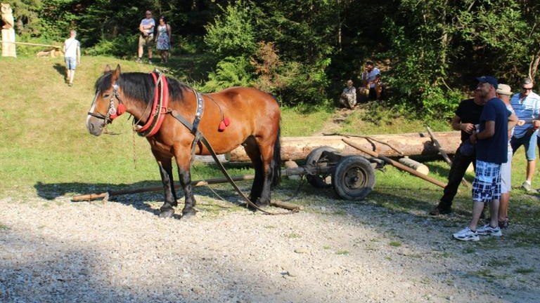 IMG_3211 (Niestandardowy).JPG