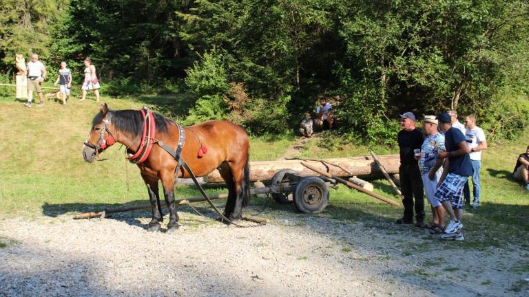 IMG_3212 (Niestandardowy).JPG