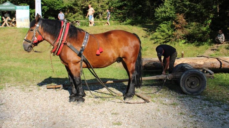 IMG_3213 (Niestandardowy).JPG