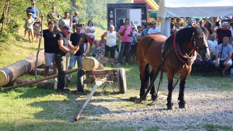 IMG_3215 (Niestandardowy).JPG