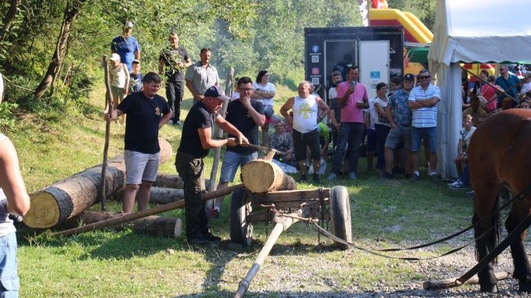 IMG_3216 (Niestandardowy).JPG