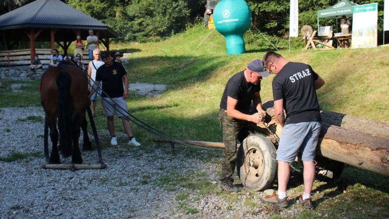 IMG_3218 (Niestandardowy).JPG