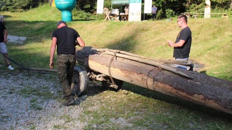 IMG_3220 (Niestandardowy).JPG