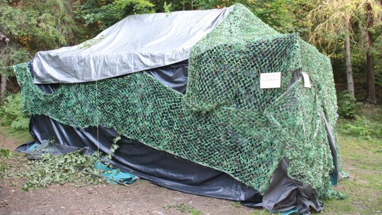 IMG_3299 (Niestandardowy).JPG