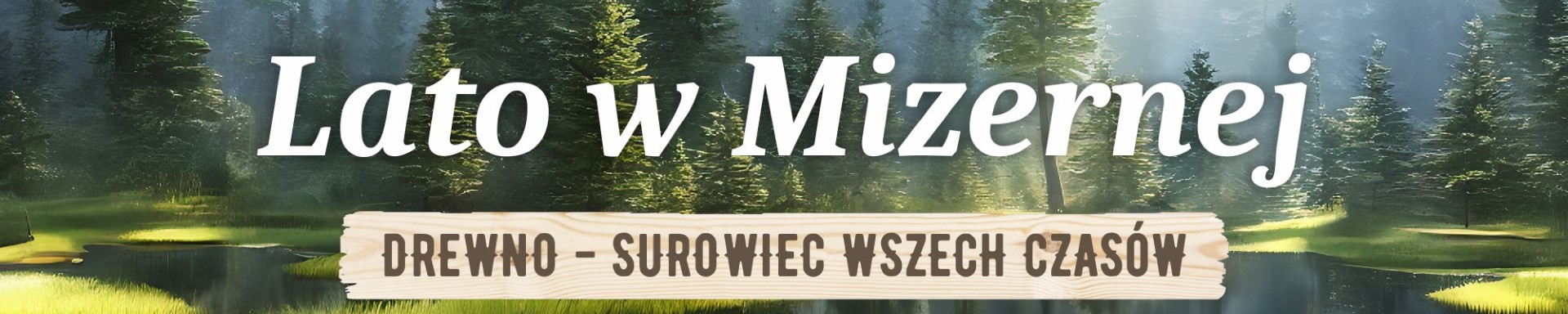Podziękowania za udział w festynie Lato w Mizernej