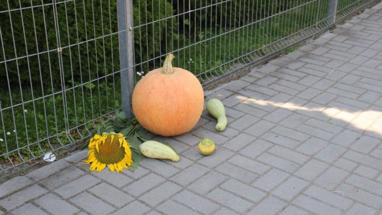 IMG_3486 (Niestandardowy).JPG