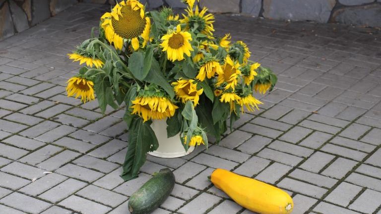 IMG_3541 (Niestandardowy).JPG