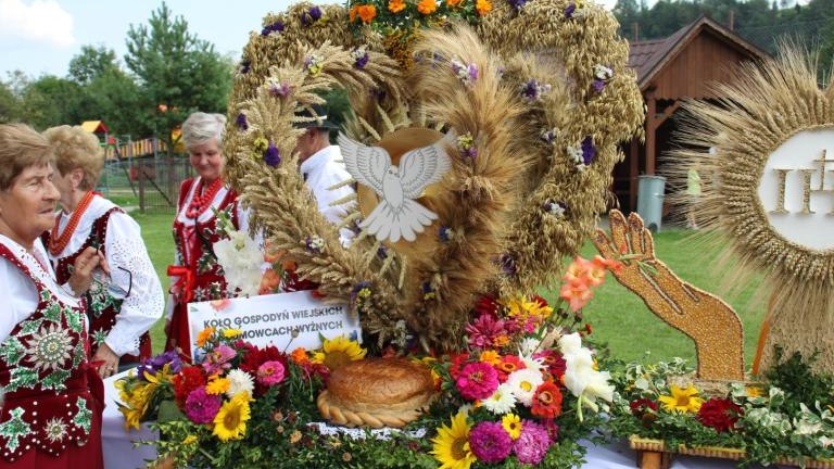 IMG_3575 (Niestandardowy).JPG