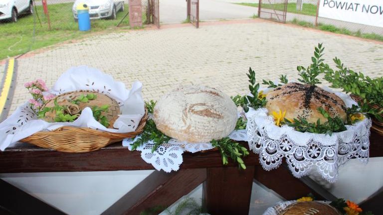 IMG_3631 (Niestandardowy).JPG