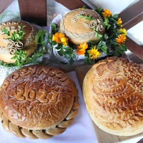 Dożynkowe święto w Sromowcach Wyżnych