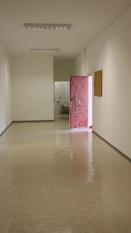 IMG_4129 (Niestandardowy).JPG