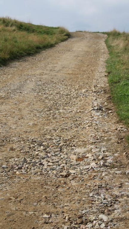 IMG_4017 (Niestandardowy).JPG