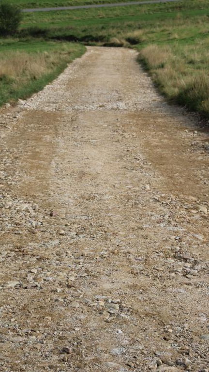 IMG_4018 (Niestandardowy).JPG