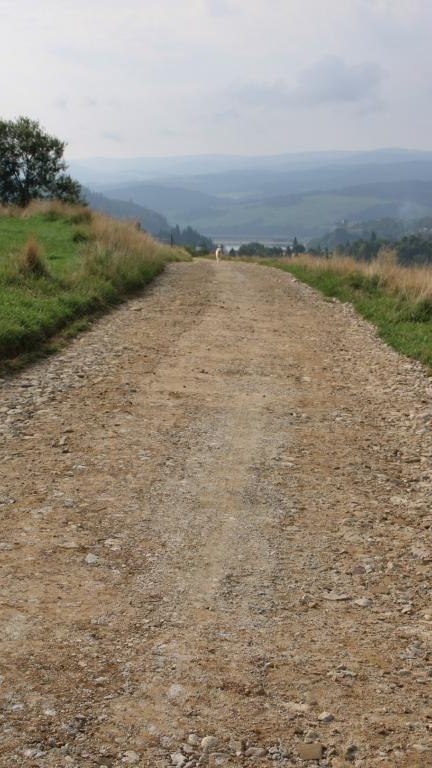 IMG_4019 (Niestandardowy).JPG