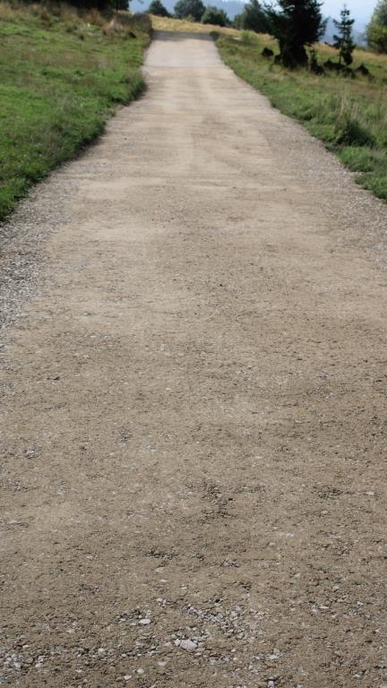 IMG_4028 (Niestandardowy).JPG