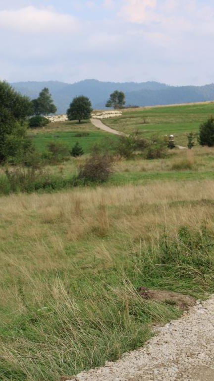 IMG_4045 (Niestandardowy).JPG