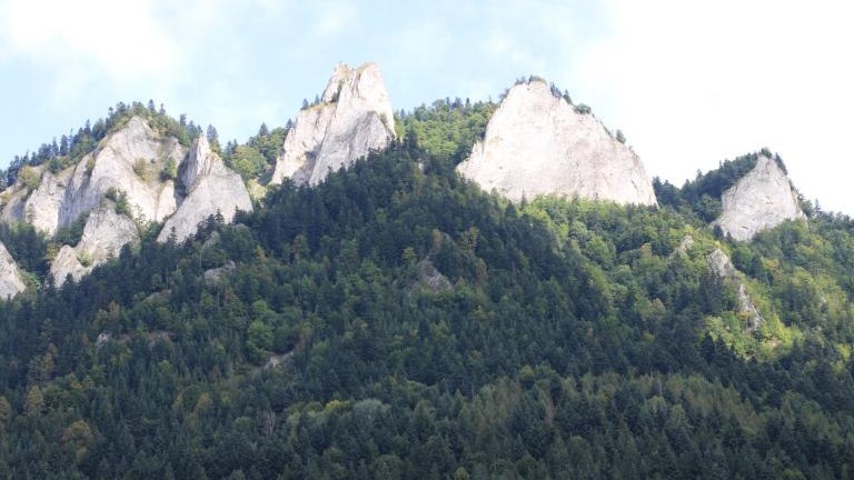 IMG_4459 (Niestandardowy).JPG