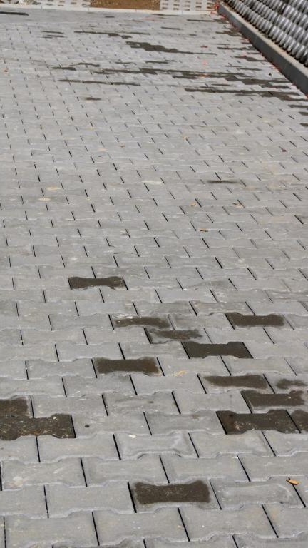 IMG_4829 (Niestandardowy).JPG