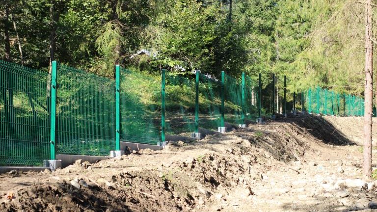 IMG_5210 (Niestandardowy).JPG